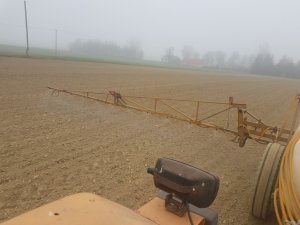 Buraki cukrowe Amazonia