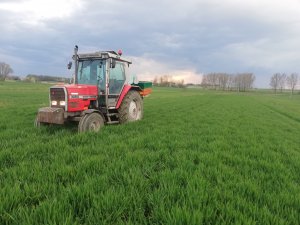 III dawka na jęczmień hybrydowy