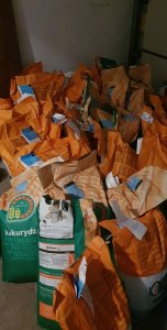 Legion, Codiese i Pagani