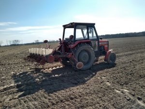 Massey Ferguson 235 + Siewnik Meprozet gama