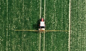 Massey Ferguson 3050 & Cebeco 21m