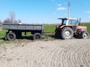 MF 590 & Autosan d47