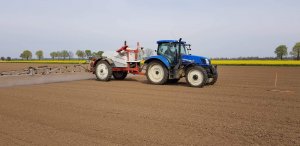 New Holland T6.175