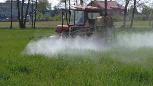 odżywka na jęczmień