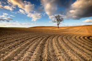 Okolice Sztumu k.Malborka