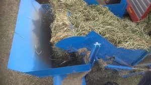 Pakowanie żyta w rękaw