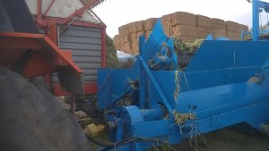 Pakowanie żyta w rękaw