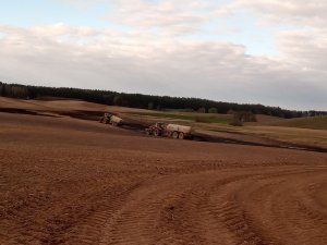 pischona i forschnitt