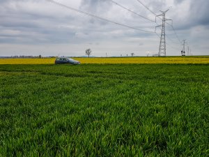 Pszenica RGT Metronom i LG Jutta 25.04.2020