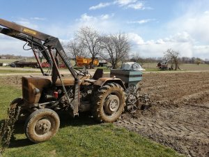 Sadzenie ziemniaków.