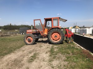 Same drago 100 & głębosz