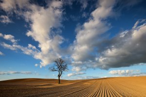 Sztum okolice Malborka