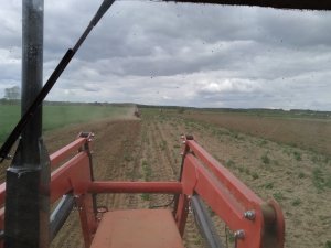 Uprawa pod kukurydzę