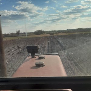 Wałowanie kukurydzy