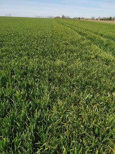 Z lewej Emil z prawej Spencer 