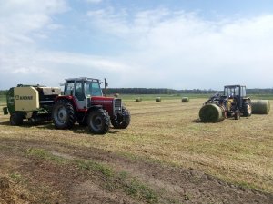 Massey ferguson + Ursus