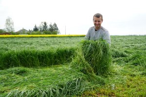 BG-13 POPLON - mieszanka poplonowa