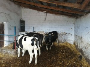 Garaż na młodzież.