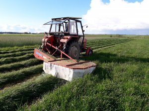 Mieszanka DLF, klasa VI 