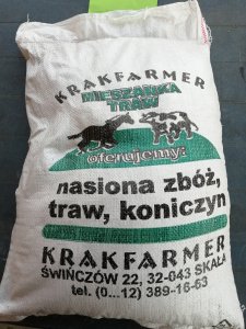 Nasiona traw.