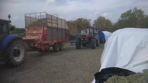 pakowanie żyta w rękaw