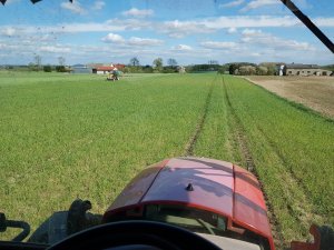 Pszenzyto Awokado na V kl.