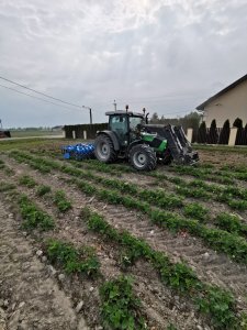 Strawberry harvester. Innovative technology😁