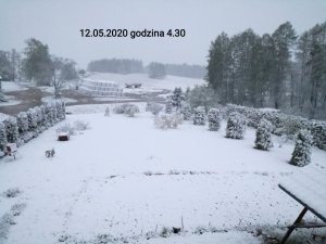 Taką oto niespodzianka 12ego Maja 2020r