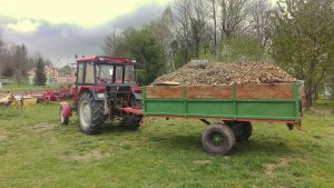 Ursus C-360 & Przyczepa jednoosiowa