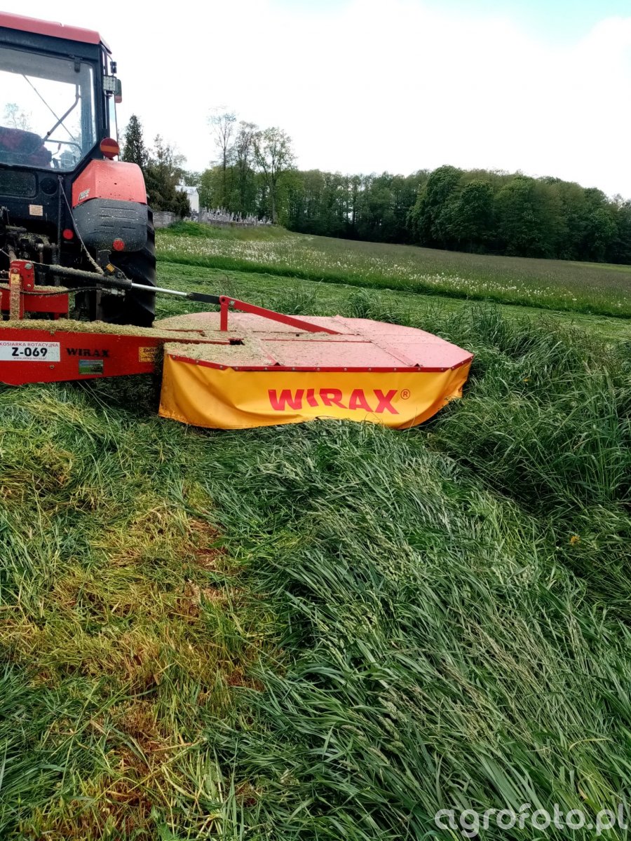 Wirax - zdjęcie, fotka, foto numer 780128 - Galeria rolnicza agrofoto