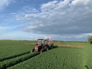 Zetor 7745 i Bury