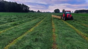 Zetor Forterra 11441 + Vicon Extra 428