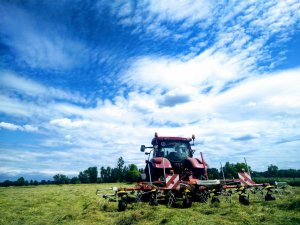 Case i Pottinger Hit 6.69