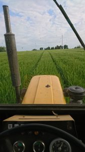 Jęczmień jary soldo 