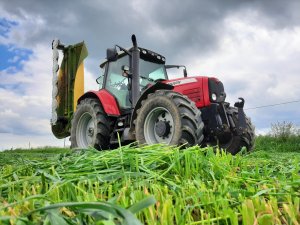 Massey Ferguson 6480