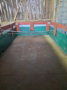 Piława  Górna  D44