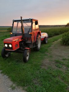 Pryskanie porzeczek na robaka