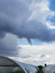 Tornado