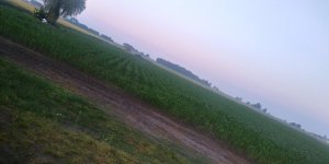 Walterinio vs Farmfire