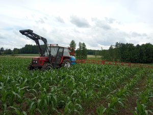 Zetor 6245