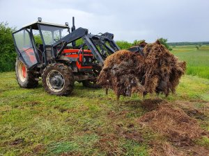 Zetor 6245