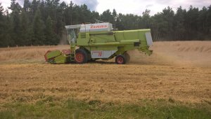 Claas dominator 76 & żyto
