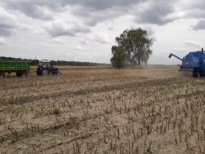 Bizon rekord & Escort 450