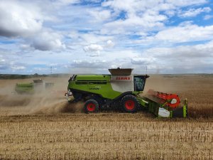 Ciąg  dalszy żniw rzepaczanych. 2x Claas Lexion 770tt & 770