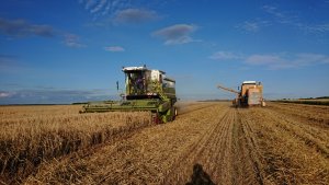 Fortschritt MDW E 524 i Bizon Z056 