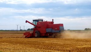 Jęczmień jary 2020