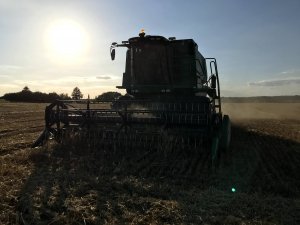 Jęczmień ozimy 07.07.2020