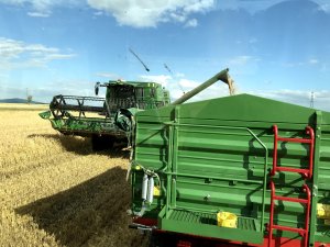 Jęczmień ozimy 07.07.2020