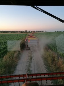 Jęczmień ozimy 2020