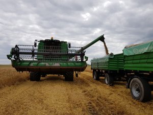 jęczmień ozimy start